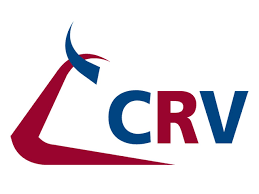 Logo CRV Holding